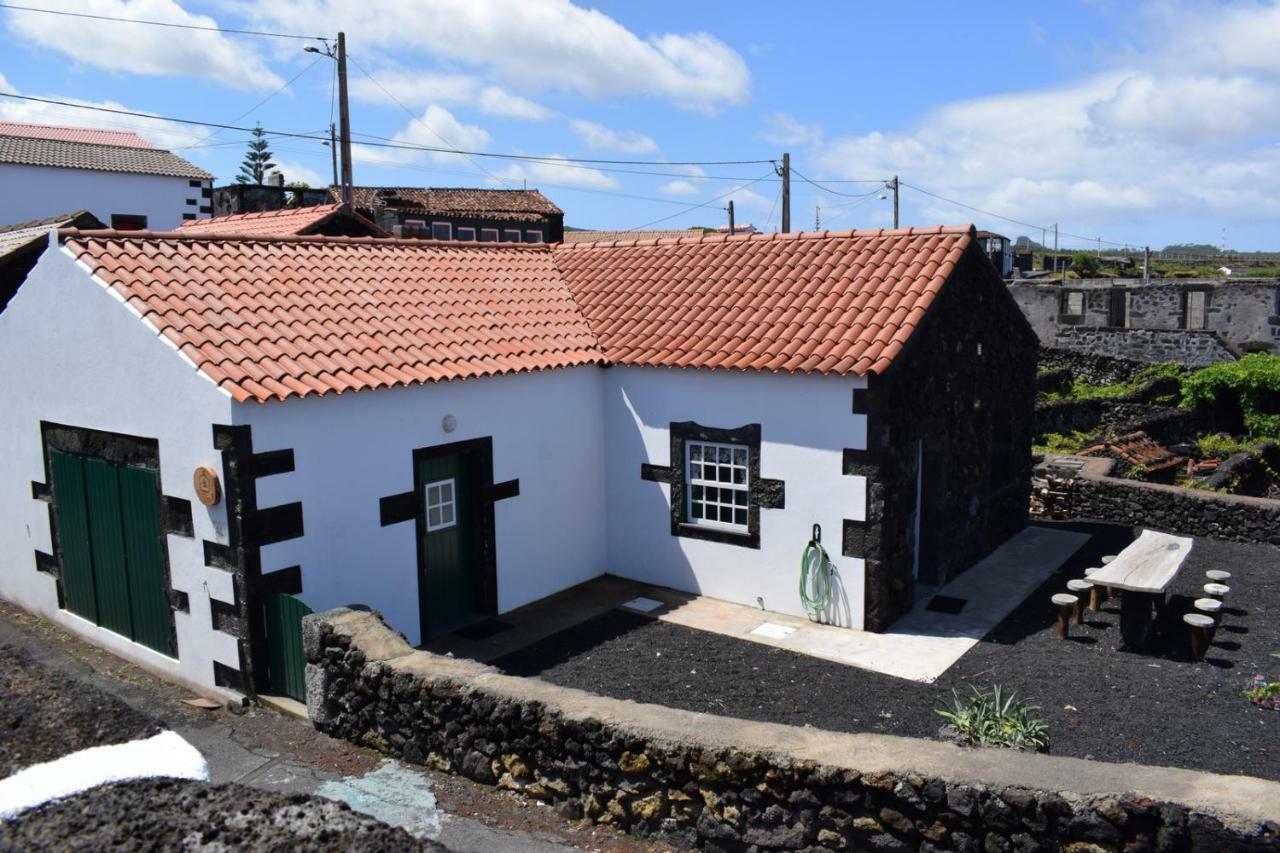 Casinha Da Avo Jeronima Rral 1519 Villa Madalena  Kültér fotó